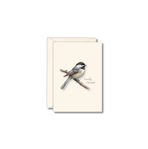 Black-Capped Chickadee Boxed Cards