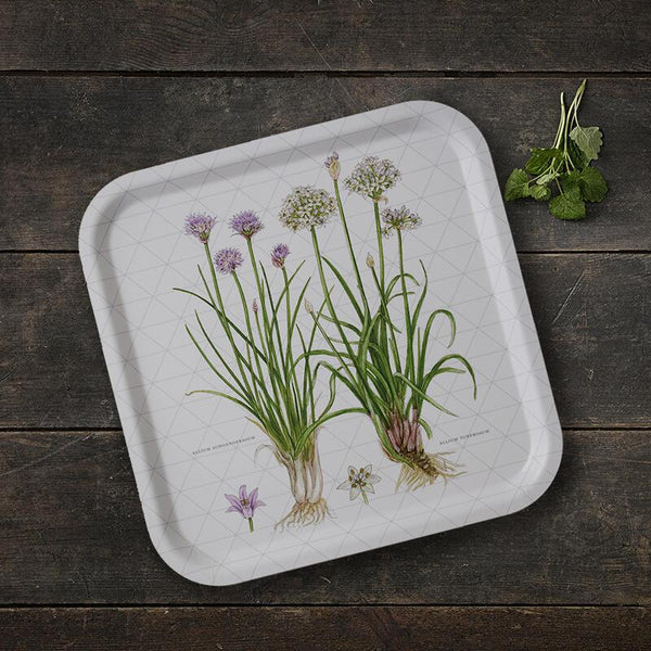 Chives Square Tray