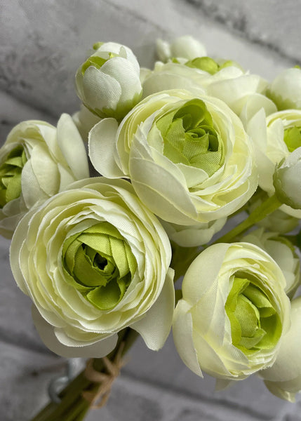 Green Ranunculus Bundle 11"