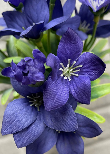 Purple Balloon Flower Bundle 11.5"