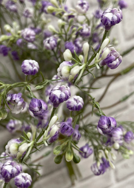 Lavender Baby's Breath Bundle 14"