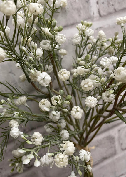 White Baby's Breath Bundle 14"