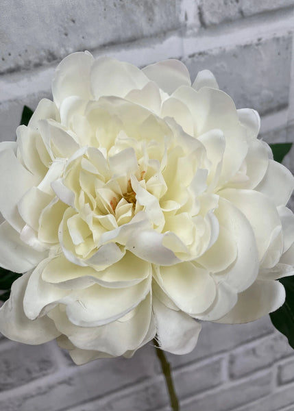 Cream Peony Stem 23"