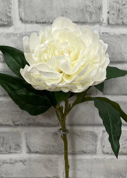Cream Peony Stem 23"
