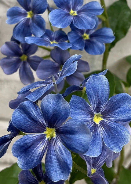 Lavender Blue Phlox Stem 33.5"