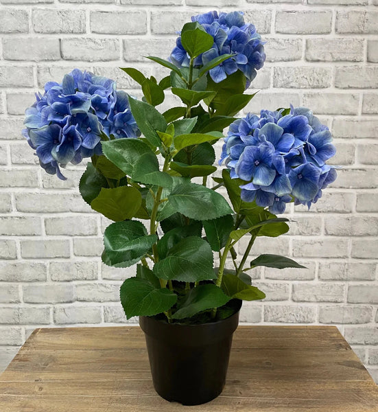 Blue Hydrangea in Black Pot 25.5"