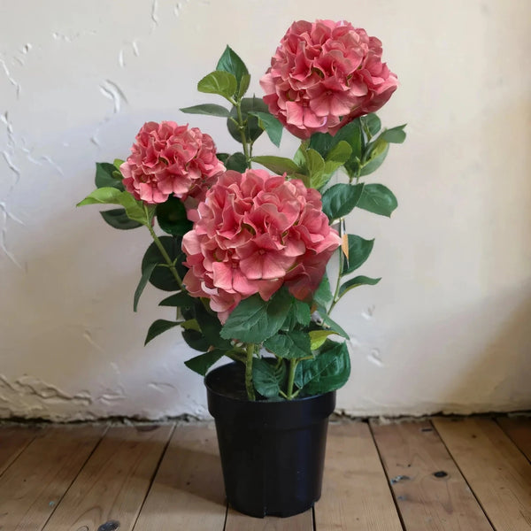 Pink Hydrangea in Black Pot 25.5"