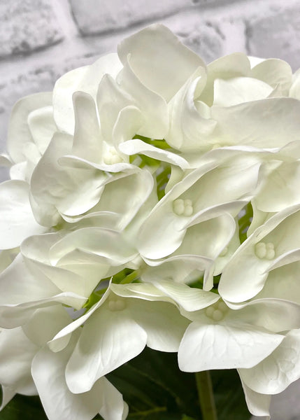 White Hydrangea in Black Pot 25.5"