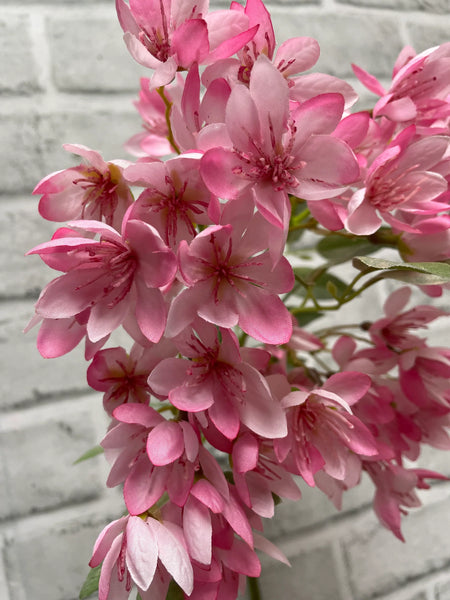 Pink Weigela Spray 16"