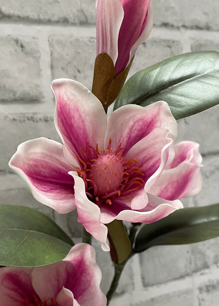 Pink Magnolia Spray 26"