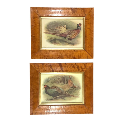 Pair of Vintage Japanese Pheasant & Ring-Necked Pheasant Prints