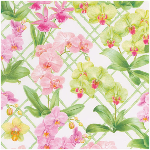 Orchid Conservatory Wrapping Paper