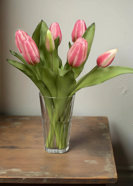 Cotton Candy Pink Formosa Tulip Bundle - 12”