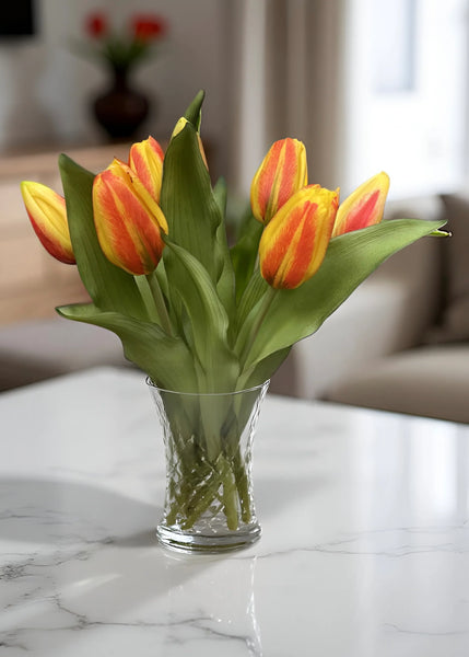 Orange Formosa Tulip Bundle - 12”