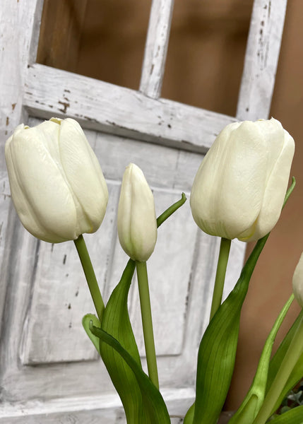 White Day Dream Tulip Bundle 18"