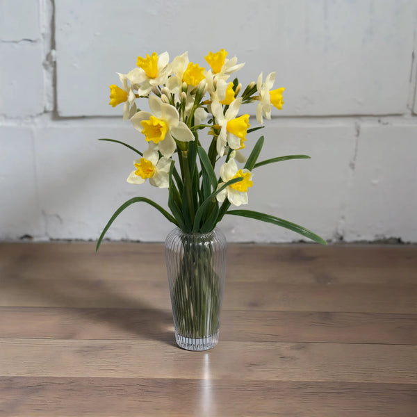 Yellow Paperwhite Bundle 12"