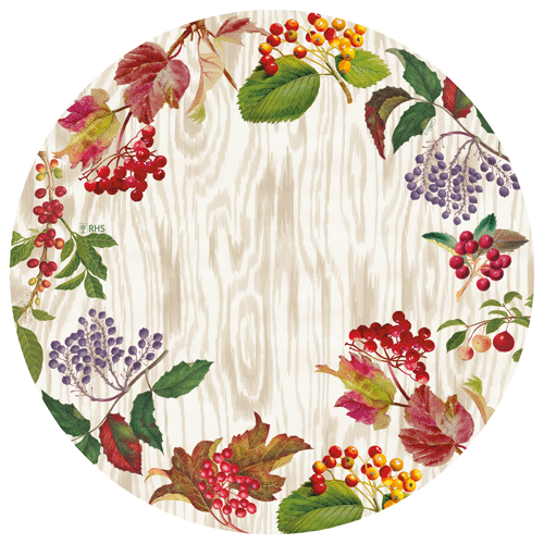 Berry Botanical Paper Placemats