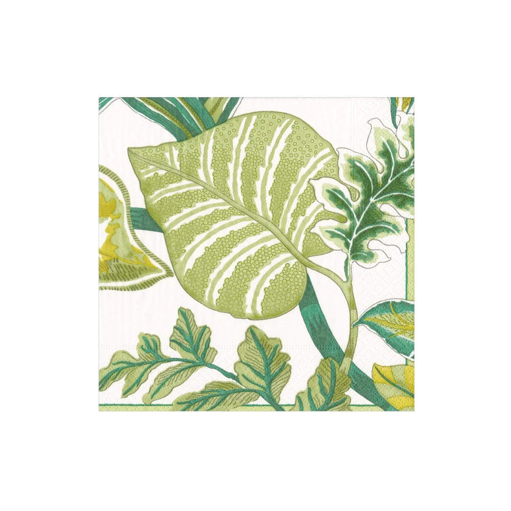 Cocktail Napkins - Florida Ivory