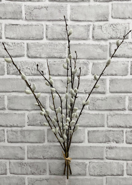 Pussy Willow Bundle 21.5"