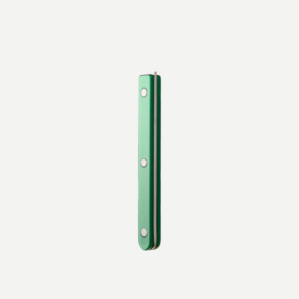Sabre Paris Bistrot Pearly Rice Spoon - Garden Green