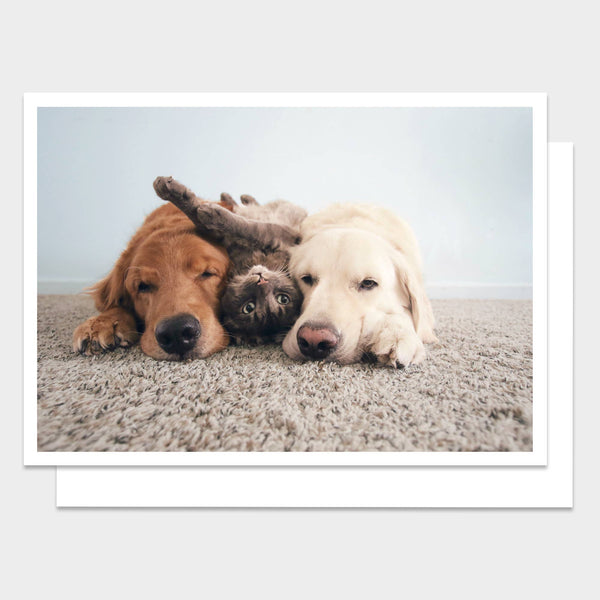 Three Best Friends Birthday Card