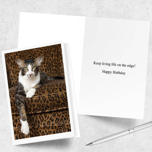 All Ears Cat Happy Birthday Greeting Card