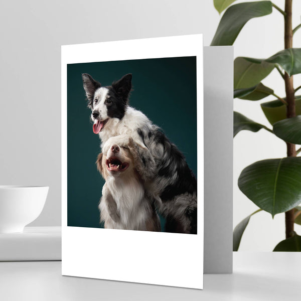 Two Dogs Hugging Happy Birthday Greeting Card