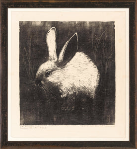 The Rabbit