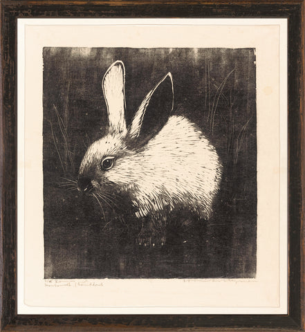 The Rabbit