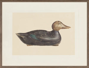Northern Collection - Decoy C.1940
