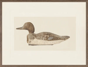 Northern Collection - Decoy C.1938