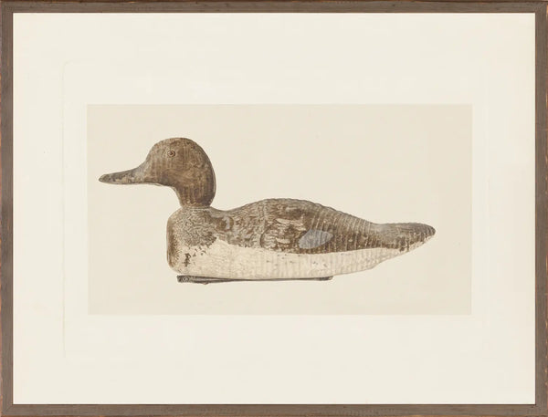 Northern Collection - Decoy C.1938