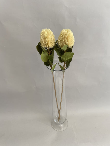 Beige Banksia Stem