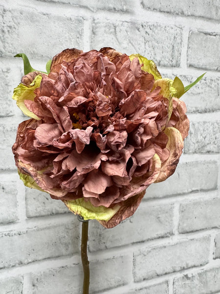 Rose Dried Look Open Peony Stem - 19.5”