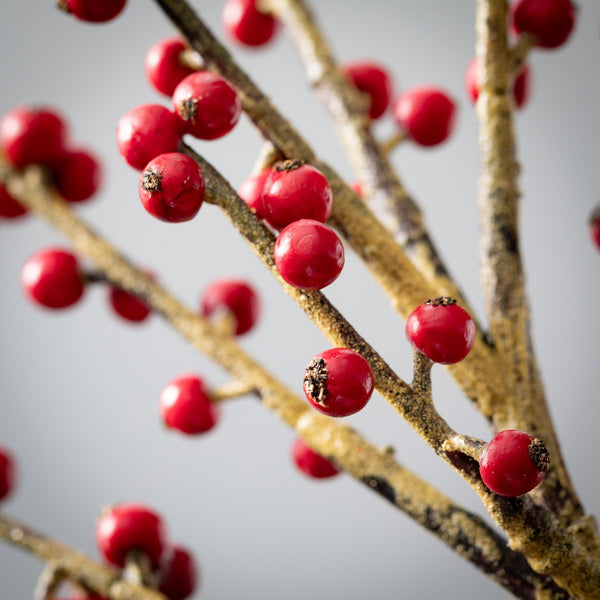 Berry Spray