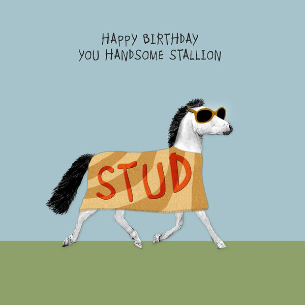 Handsome Stallion Birthday Card