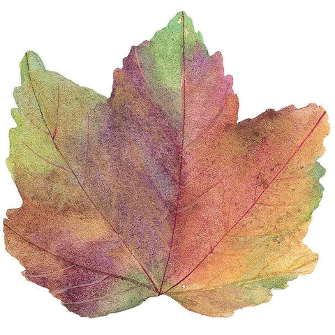 Leaf Placemat