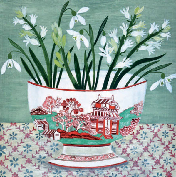 Snowdrops In Bowl - Christmas Card Pack