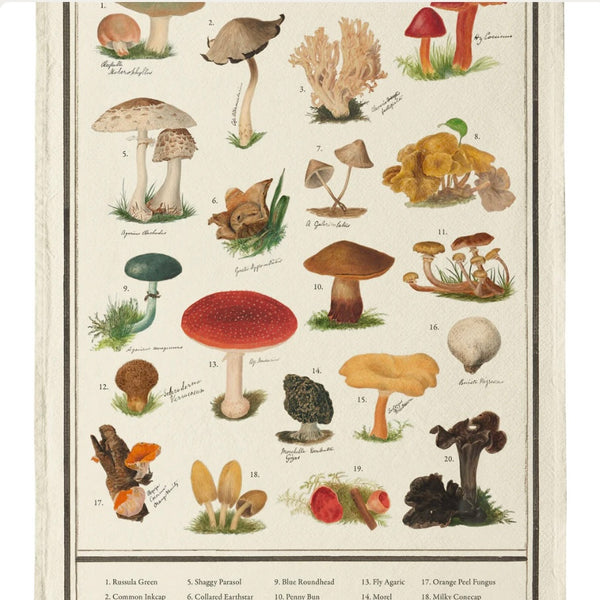 Fungi Organic Cotton Tea Towel