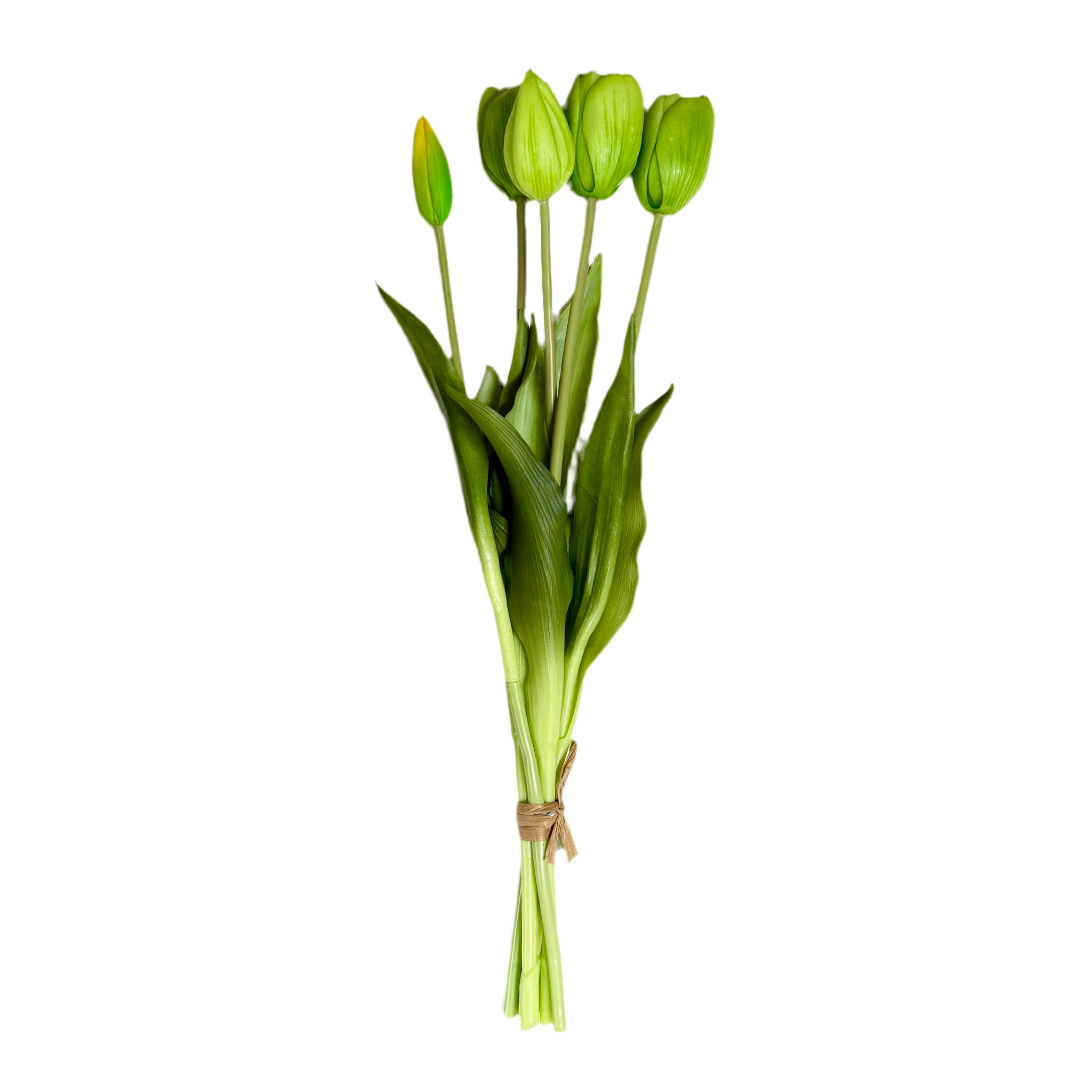 Green Tulip Bundle - 16”