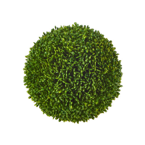 Sedum Ball (2 sizes)