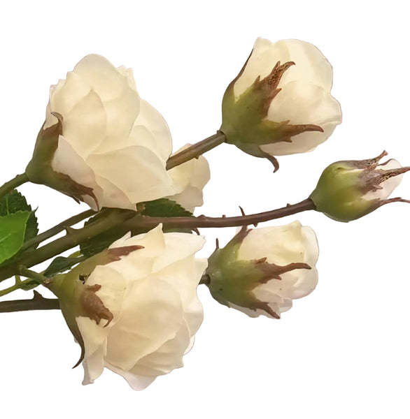 Fresh Touch White Rose Spray 23”