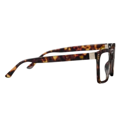 Montage - Tortoise Readers by Peepers