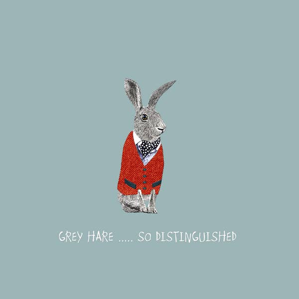 Grey Hare Greeting Card