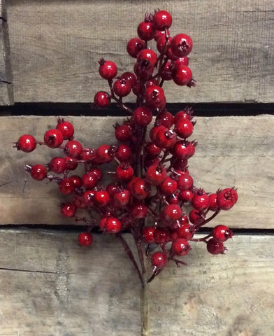 Red Outdoor Wild Berry Spray - 18”