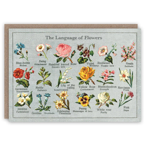 Language of Flowers Card