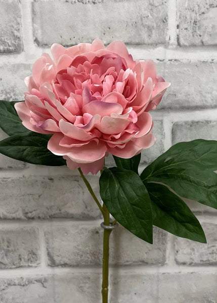 Pink Peony Stem 23"