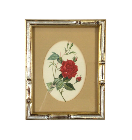 Vintage Red Rose Florentine Botanical Framed Print