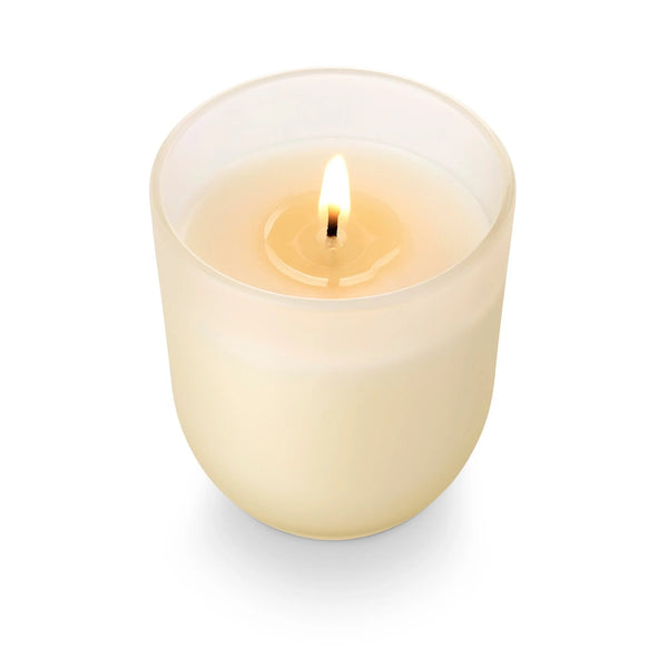 Illume Coconut Milk Mango Boxed Candle
