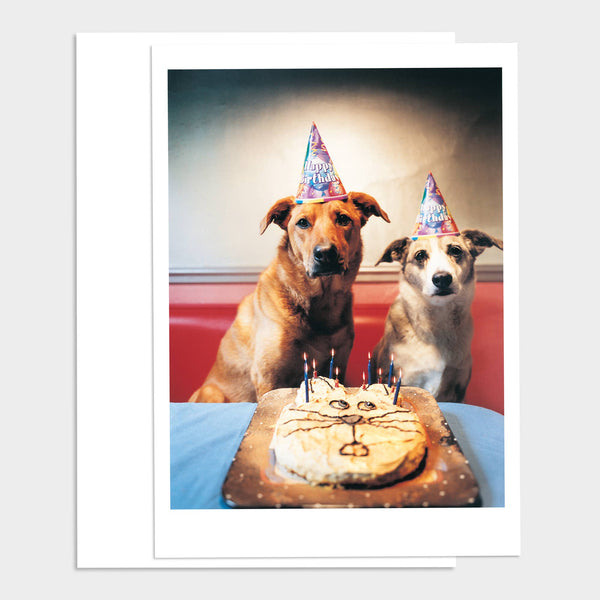 Dogs Birthday Party Happy Birthday Greeting Card